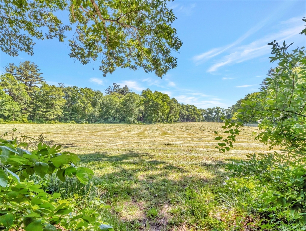 12 Toad Island Road Norton, MA 02766 - Photo 6 of 29