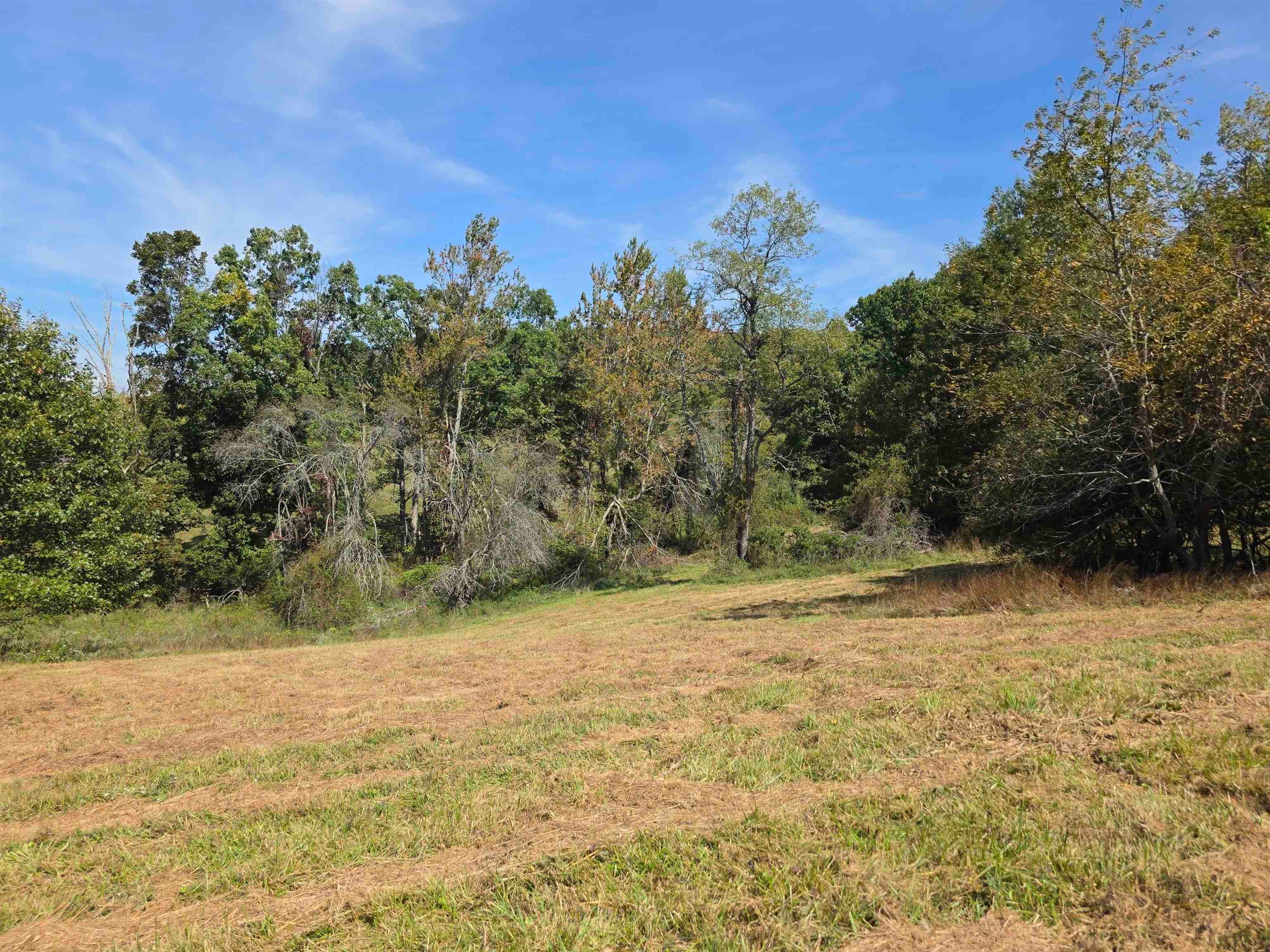 Tbd Ridge Road Northeast Pilot, VA 24138 - Photo 13 of 26 Gallery Image 13