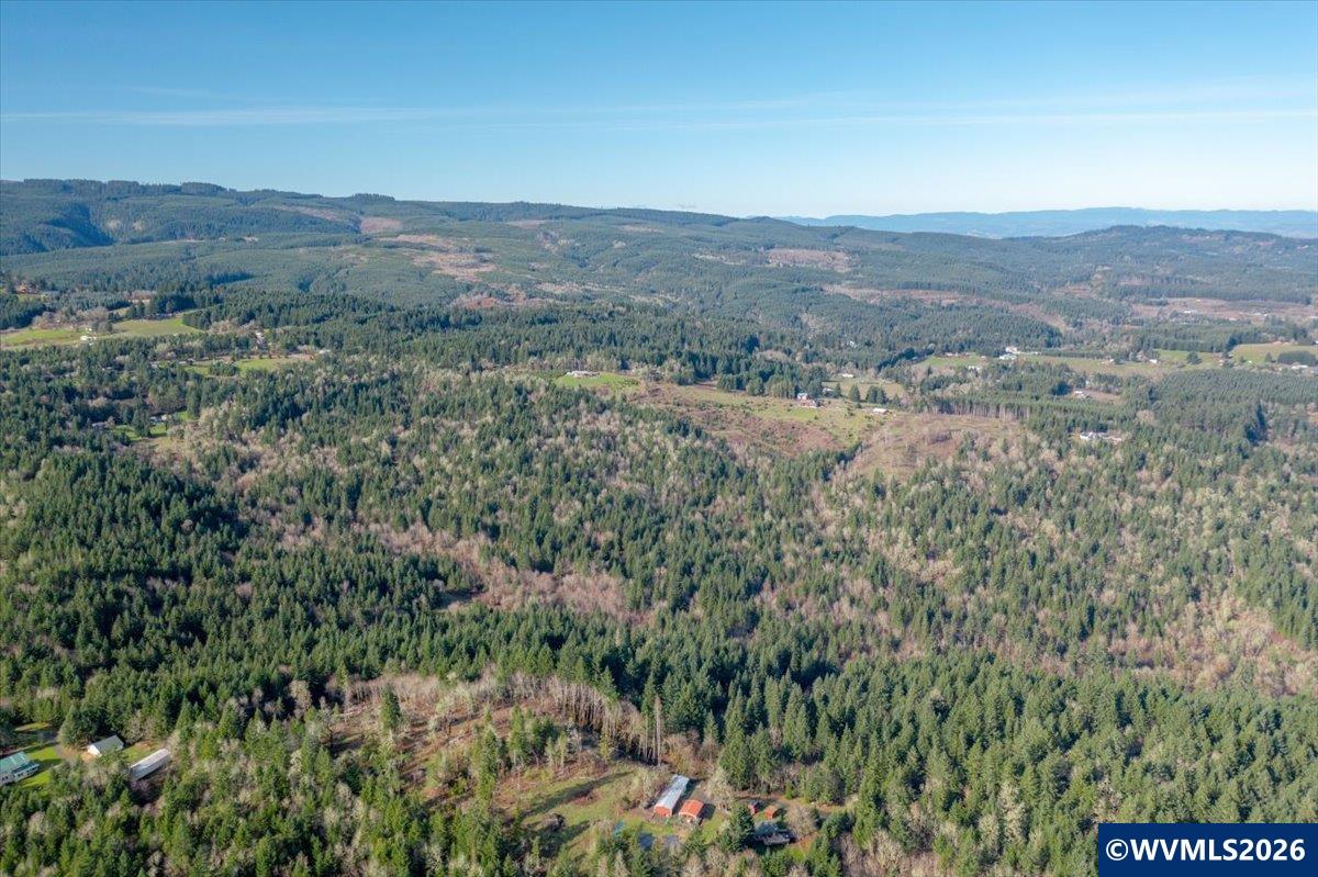 0 Oakdale Road Dallas, OR 97338 - Photo 6 of 14