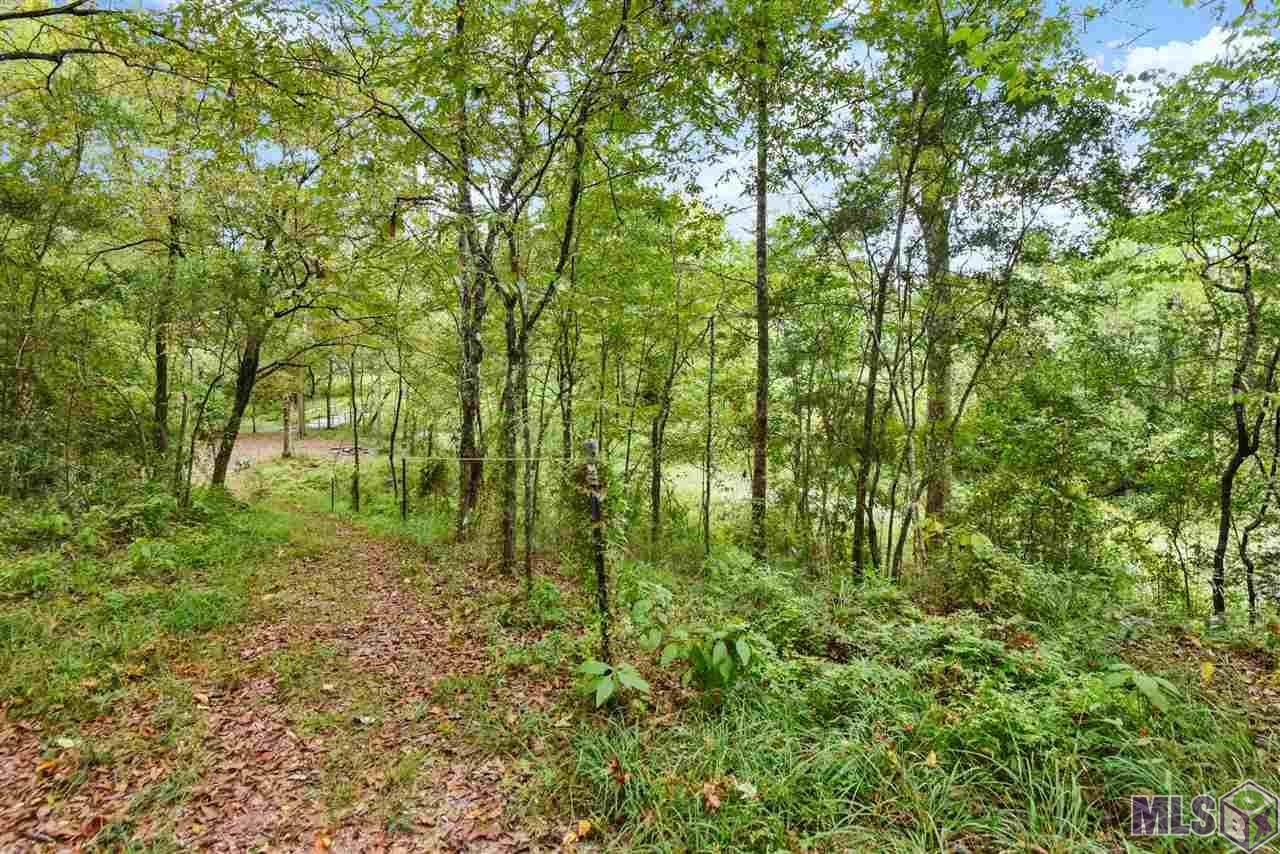 13476 Triple B Road Central, LA 70739 - Photo 5 of 28 Gallery Image 5