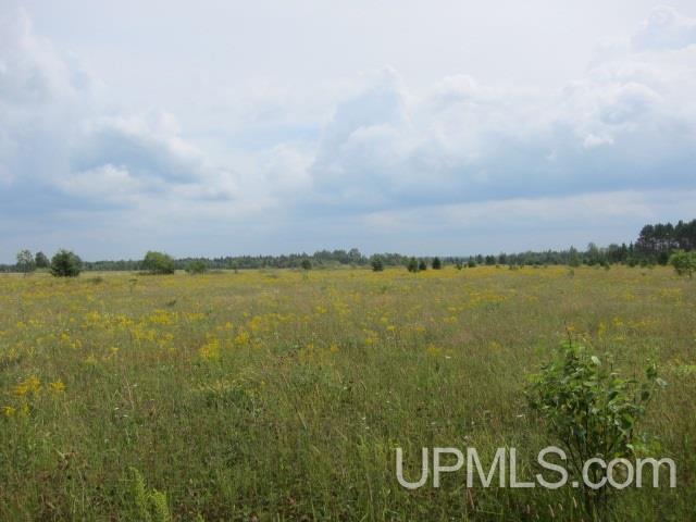 464 Triangle Ranch Road Amasa, MI 49903 - Photo 25 of 29