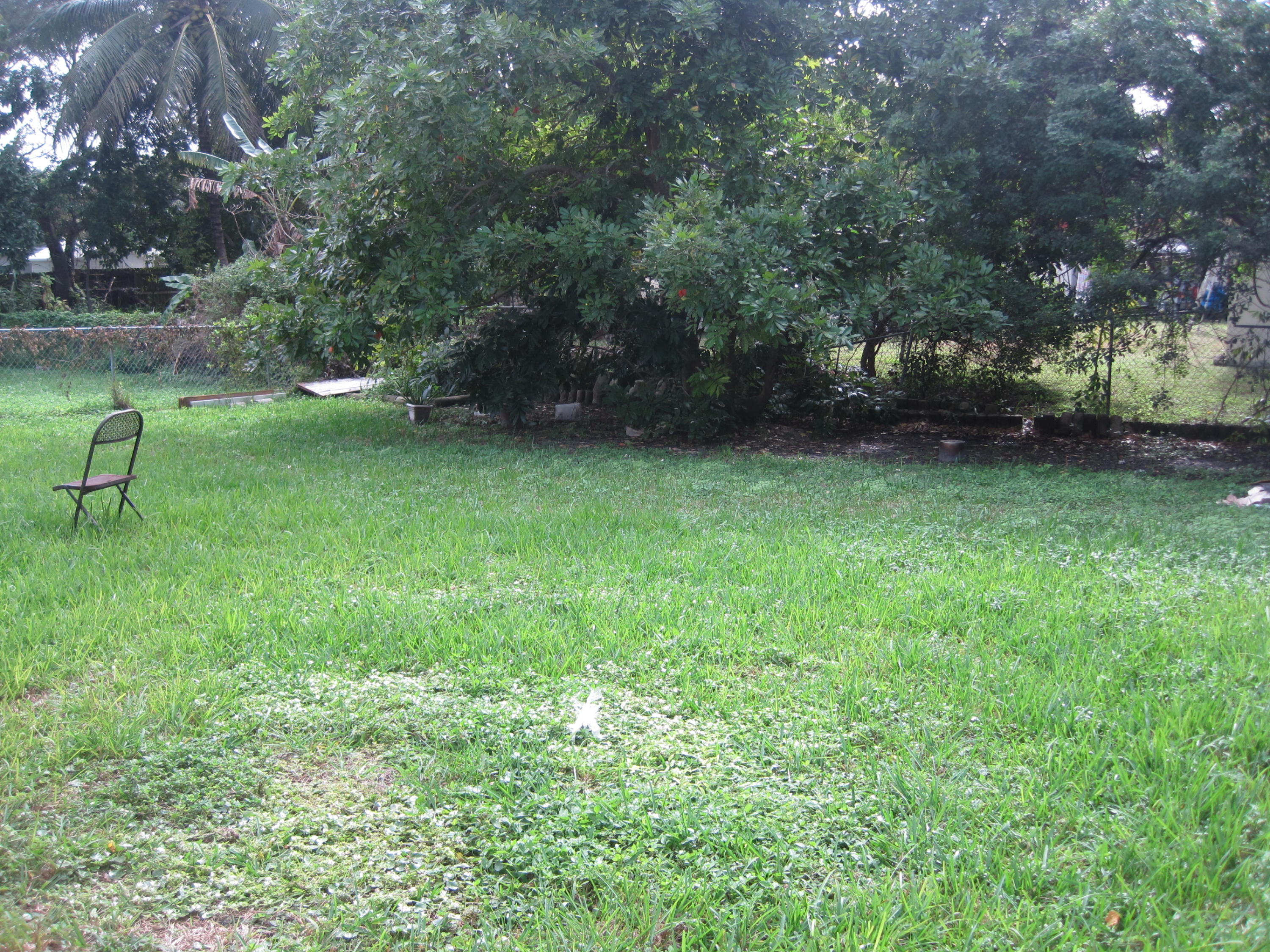 1650 Northeast 147th Street North Miami Beach, FL 33181 - Photo 20 of 35 Unit 1 Backyard