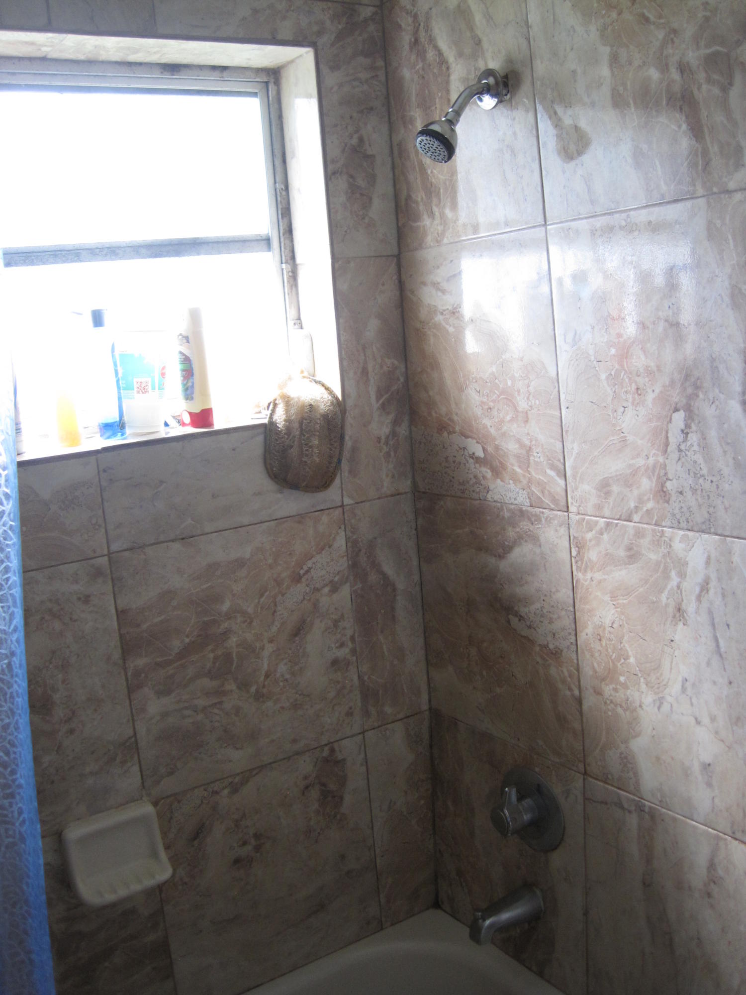 1650 Northeast 147th Street North Miami Beach, FL 33181 - Photo 3 of 35 Unit 1 Shower