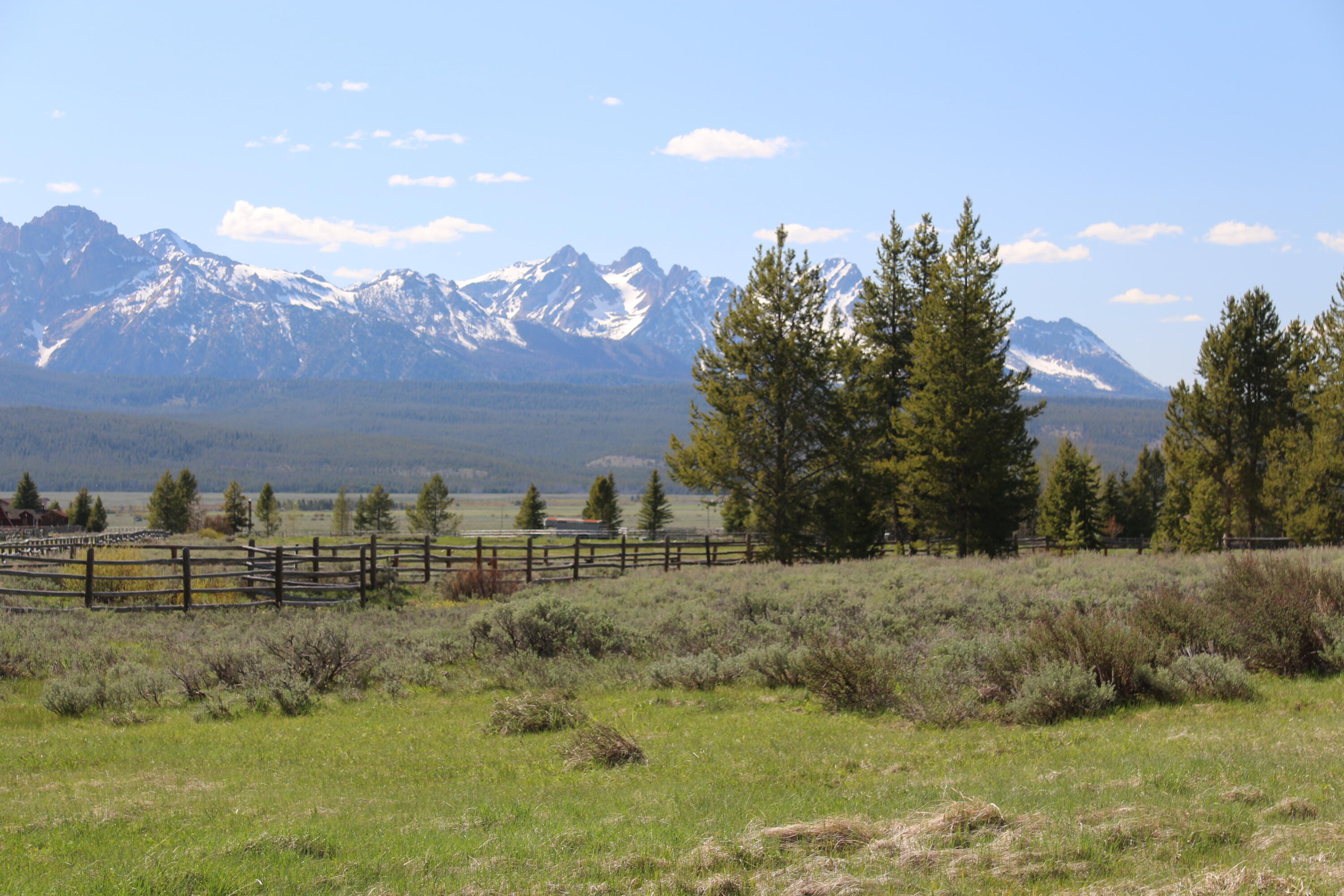 Tbd Fisher Creek Road Stanley, ID 83278 - Photo 22 of 37 IMG_7662