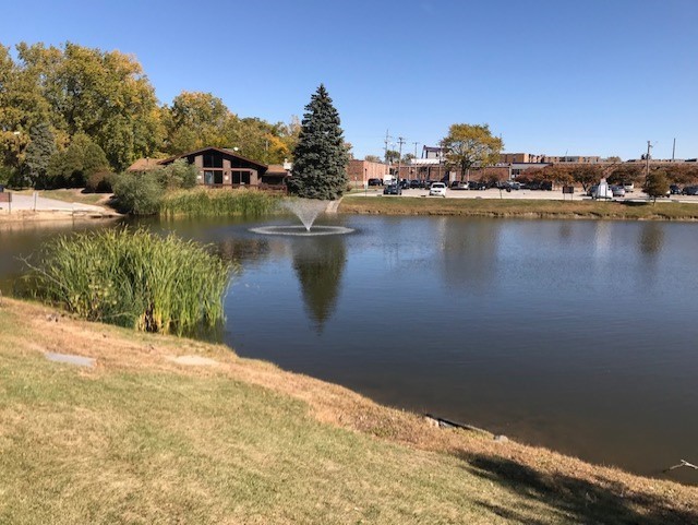 840 Elder Road, Unit A116 Homewood, IL 60430 - Photo 13 of 14 a view of a lake with houses