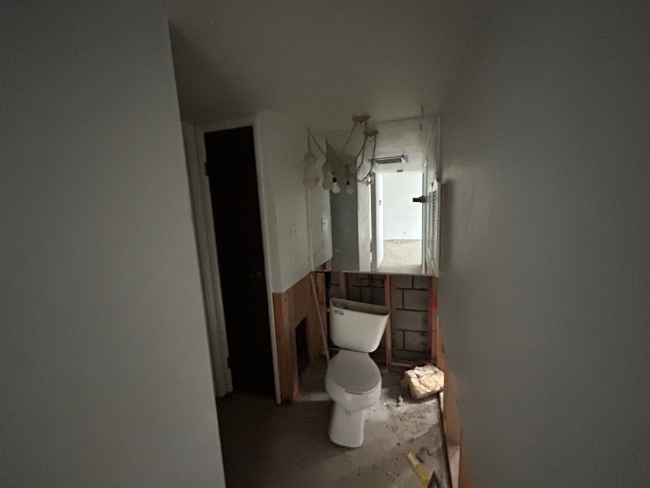 840 Elder Road, Unit A116 Homewood, IL 60430 - Photo 10 of 14 a bathroom with a toilet and a mirror