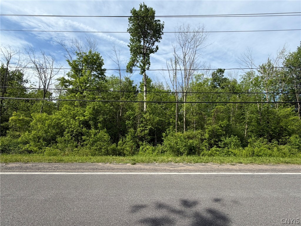 Morgan Road Marcy, NY 13403 - Photo 6 of 12
