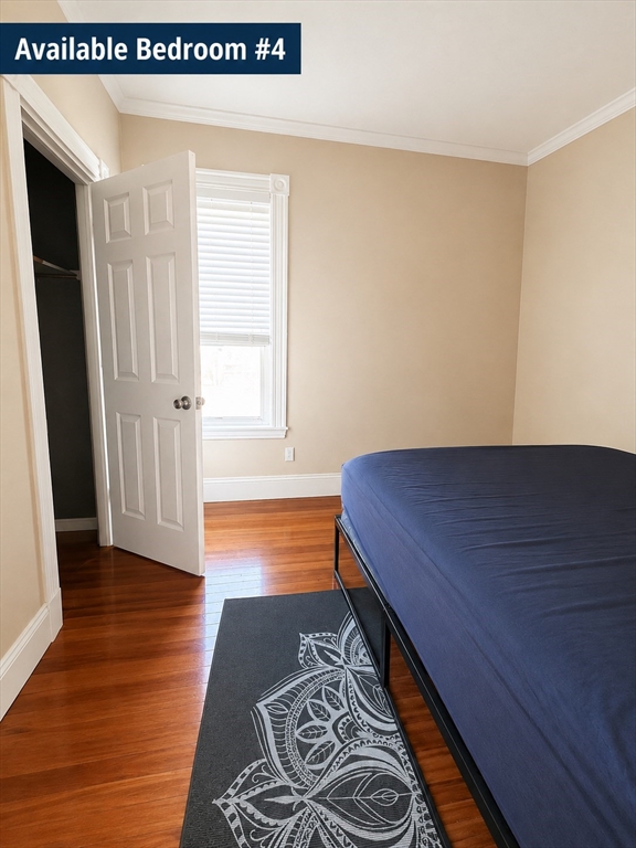 781 Columbia Road, Unit 3 Boston, MA 02125 - Photo 3 of 14