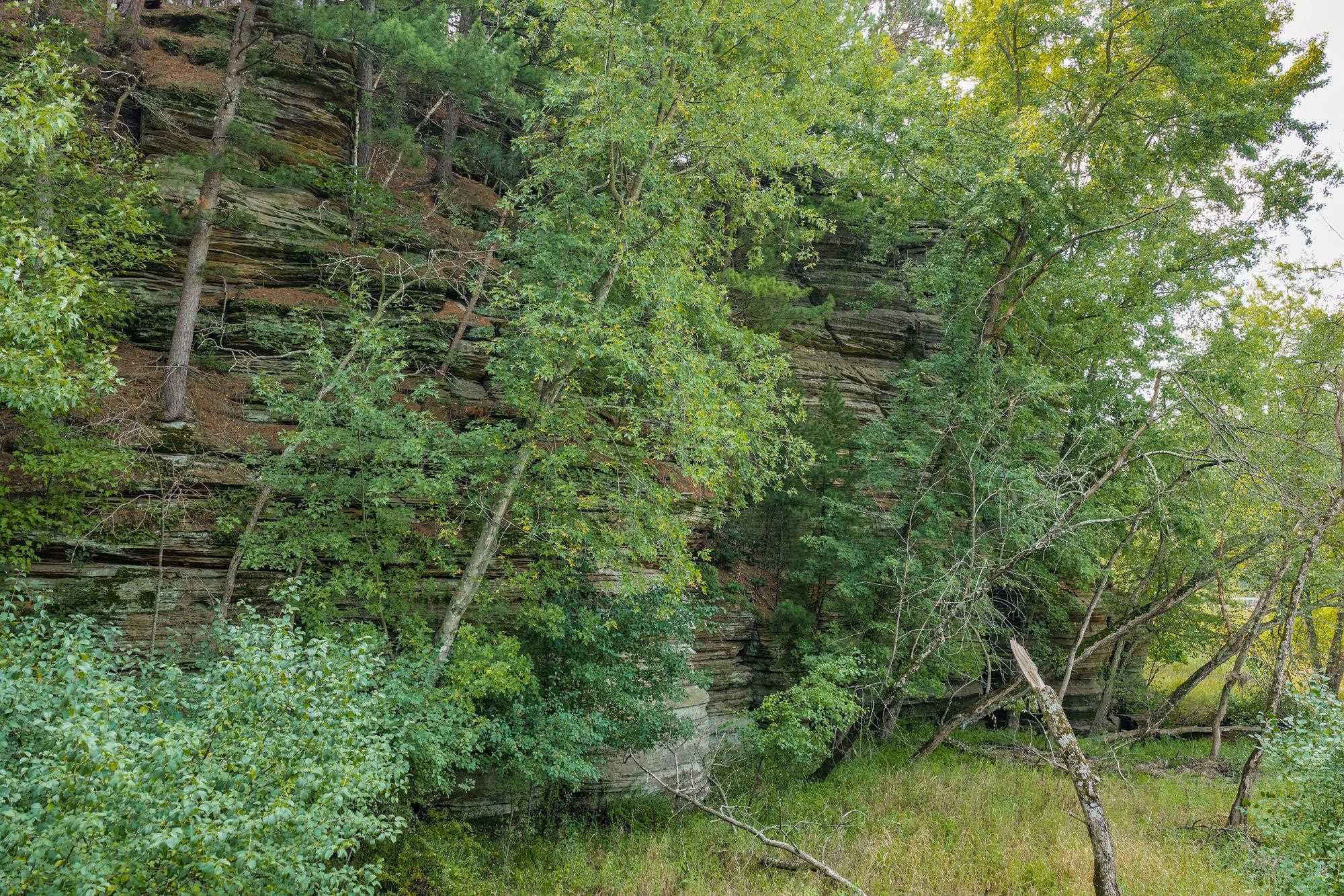 55 Bowman Road Wisconsin Dells, WI 53965 - Photo 49 of 56 Gallery Image 49