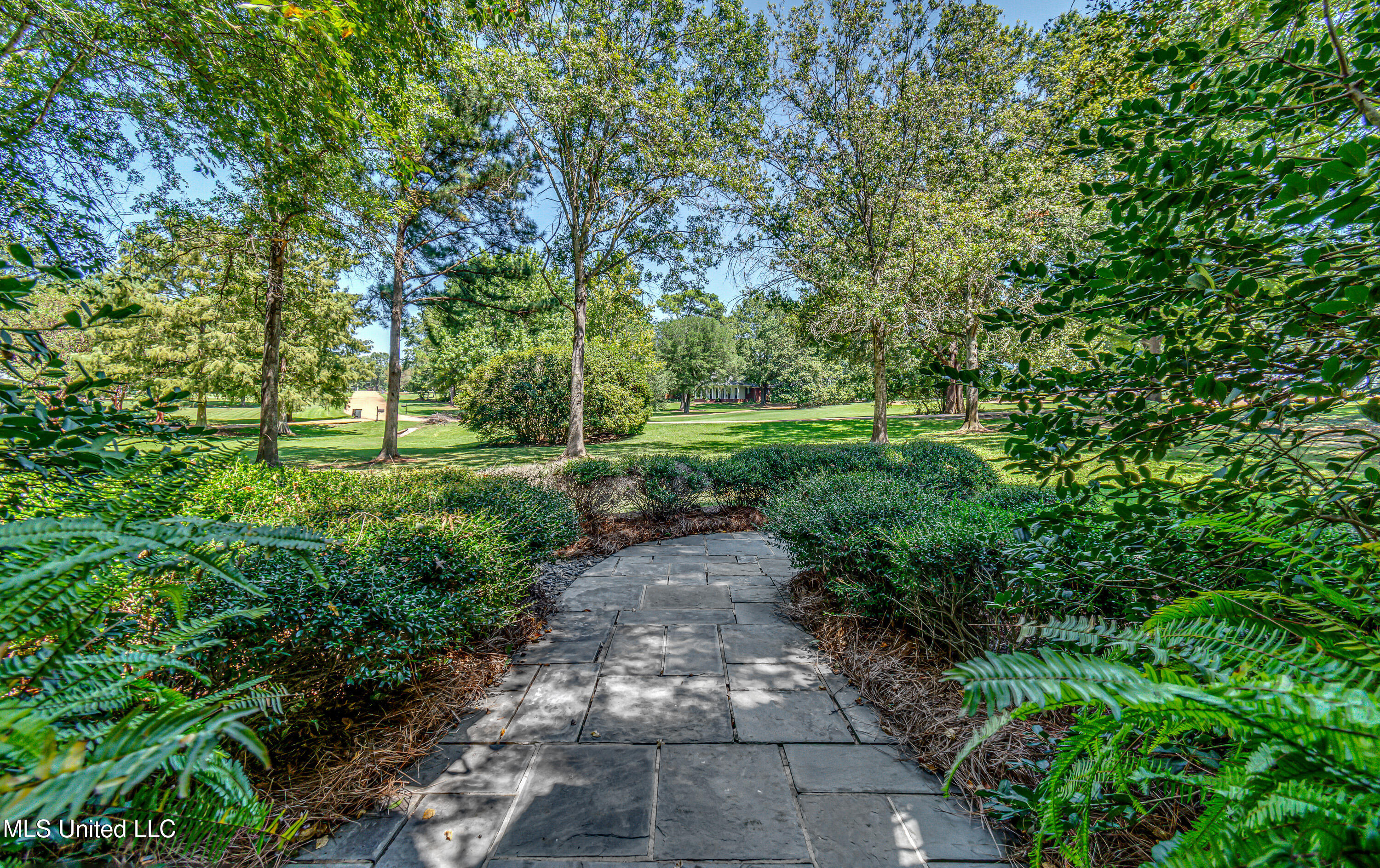 338 Hillview Drive Ridgeland, MS 39157 - Photo 19 of 76 338 Hillview Rd-29