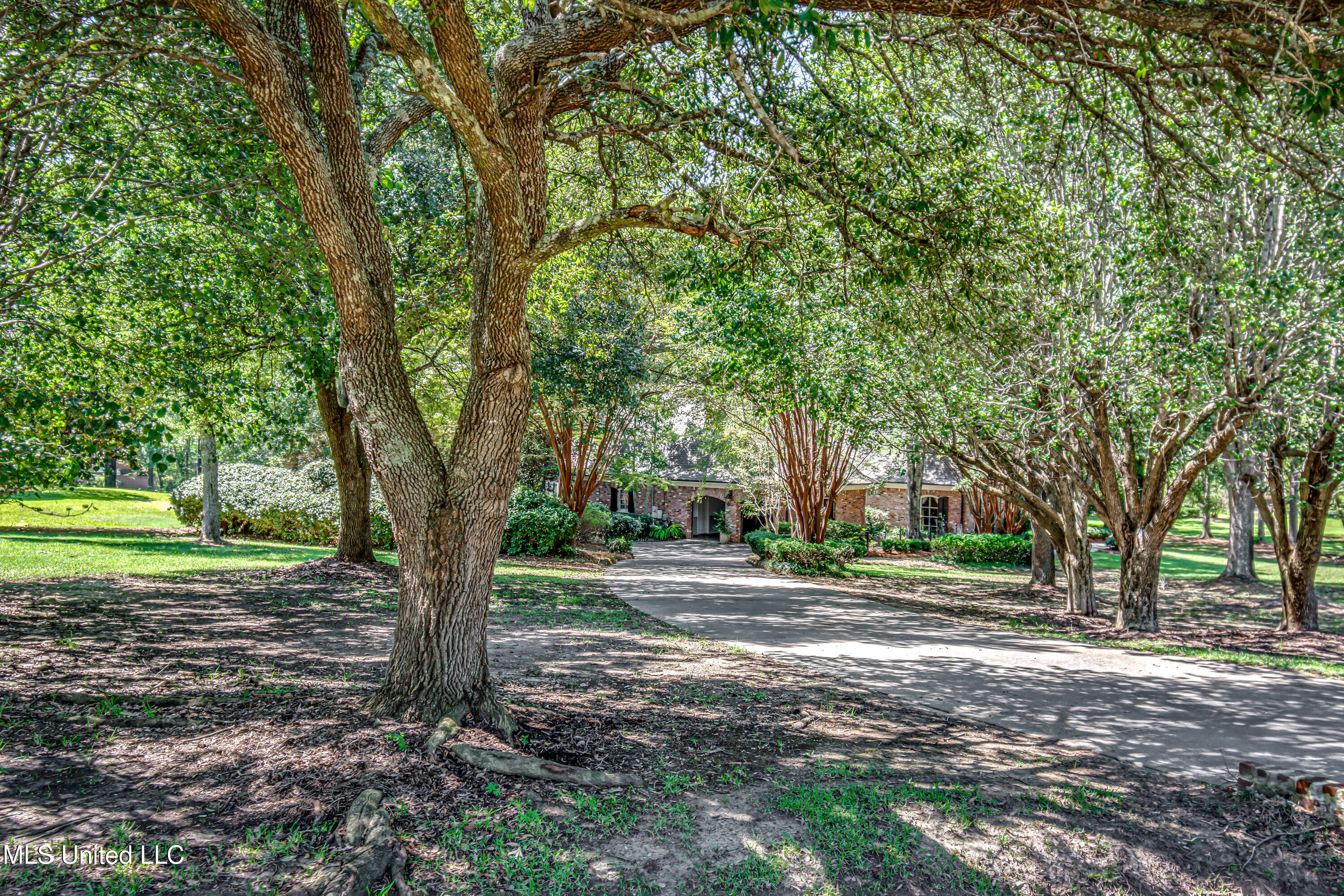 338 Hillview Drive Ridgeland, MS 39157 - Photo 76 of 76 338 Hillview Rd-105