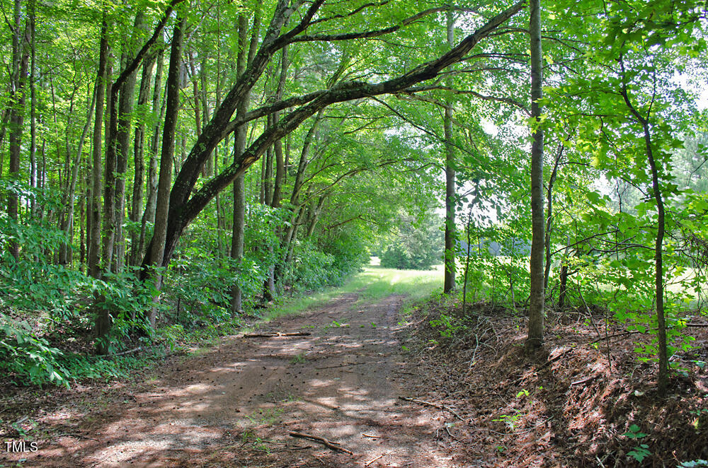 0 Range Road Stem, NC 27581 - Photo 25 of 35 DSC_0023