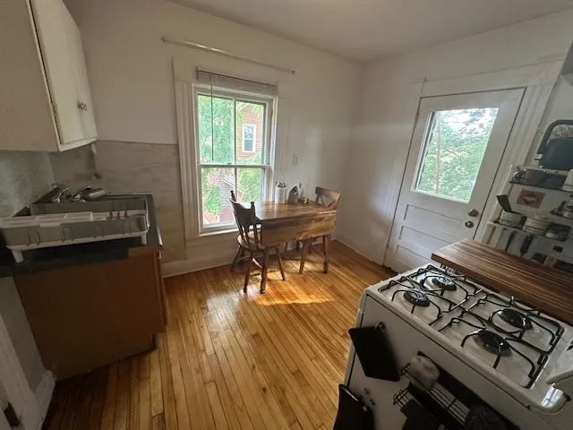 $1,195 | 312 South Ingersoll Street, Unit 1, Madison, WI 53703