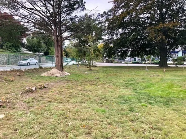 a view of a tree with a yard