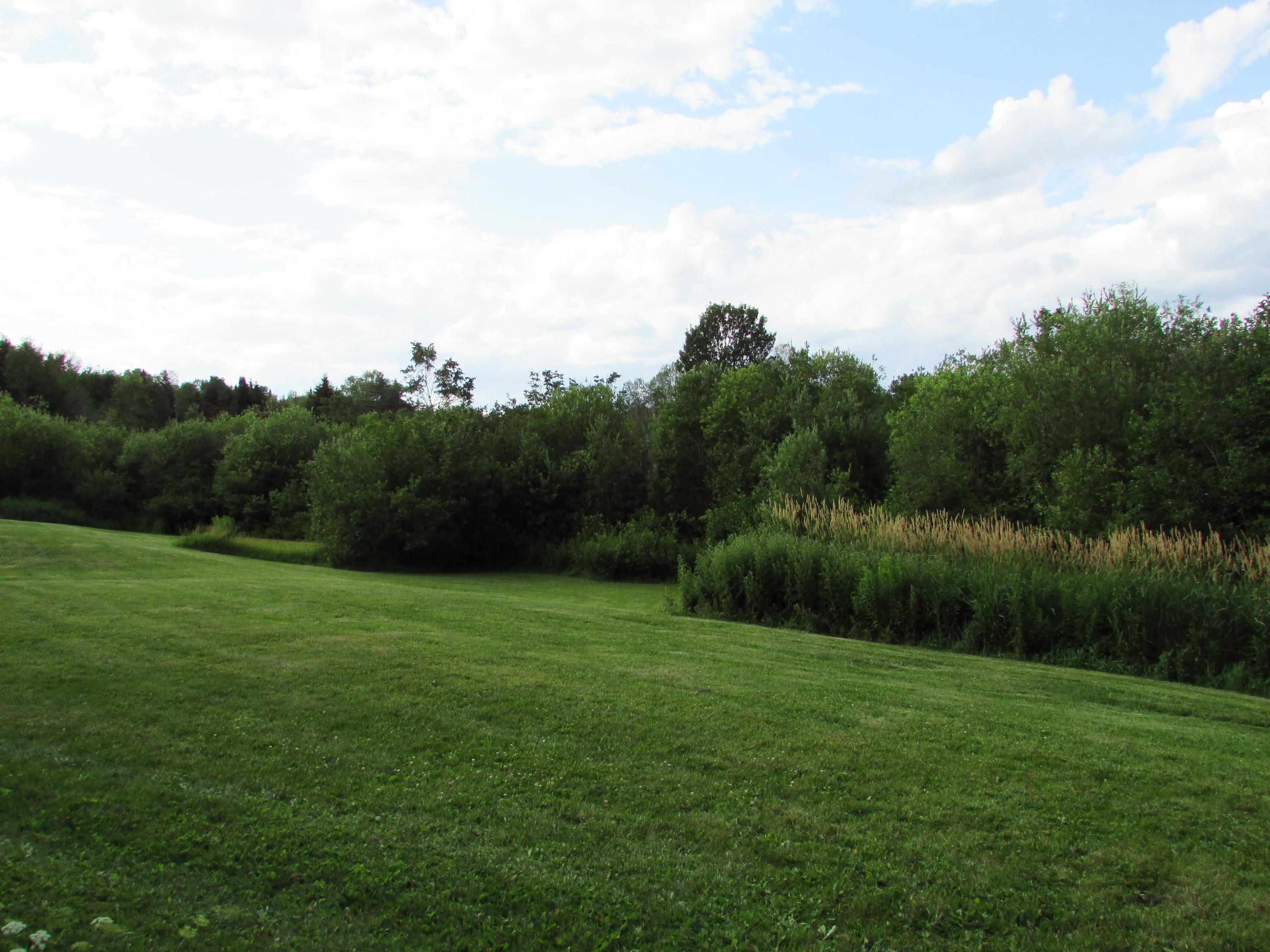 31 Devoe Brook Road Eagle Lake, ME 04739 - Photo 13 of 15 31 DevoeIMG_5832