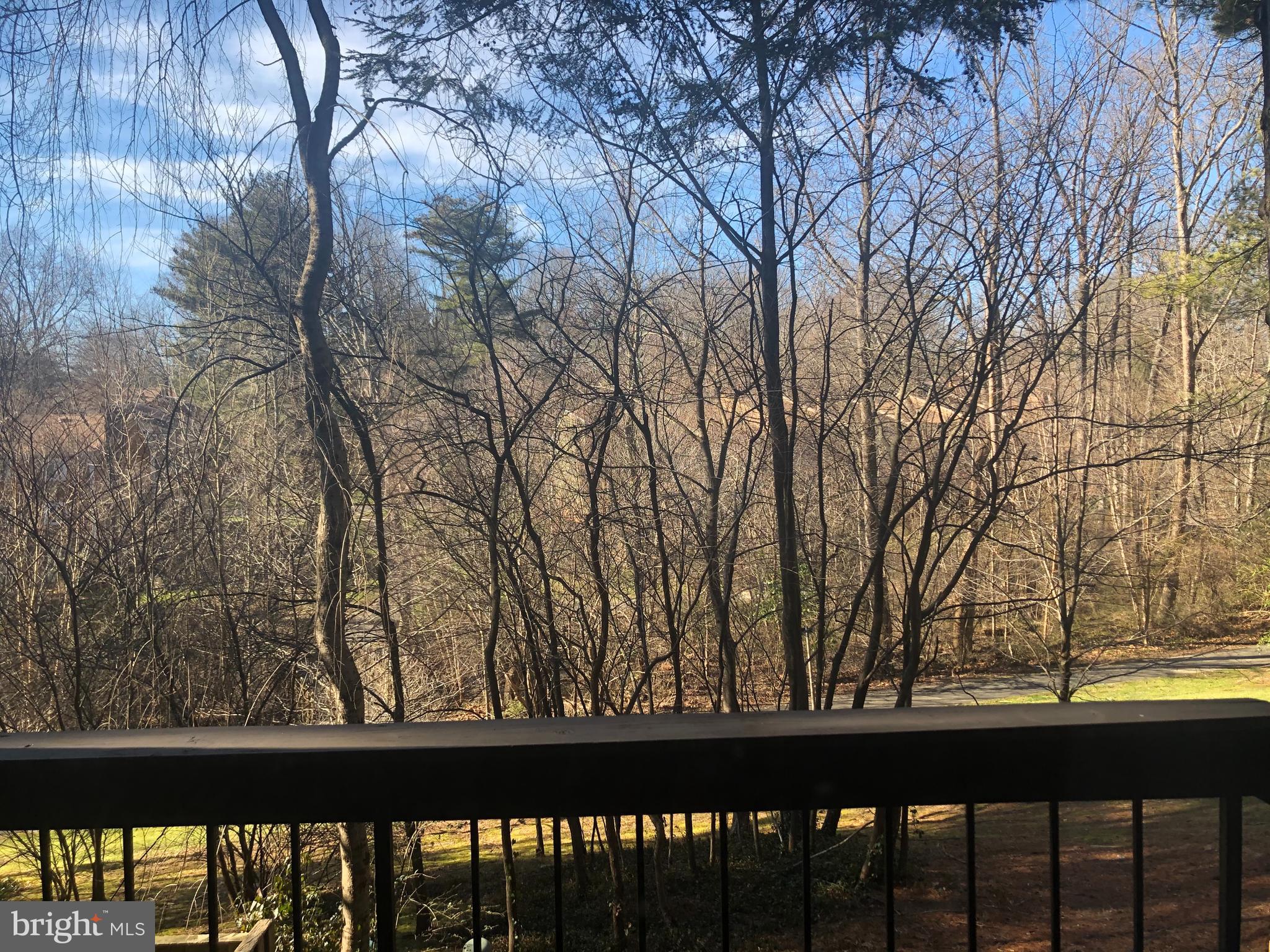 11091 Saffold Way Reston, VA 20190 - Photo 5 of 30 View from rear.