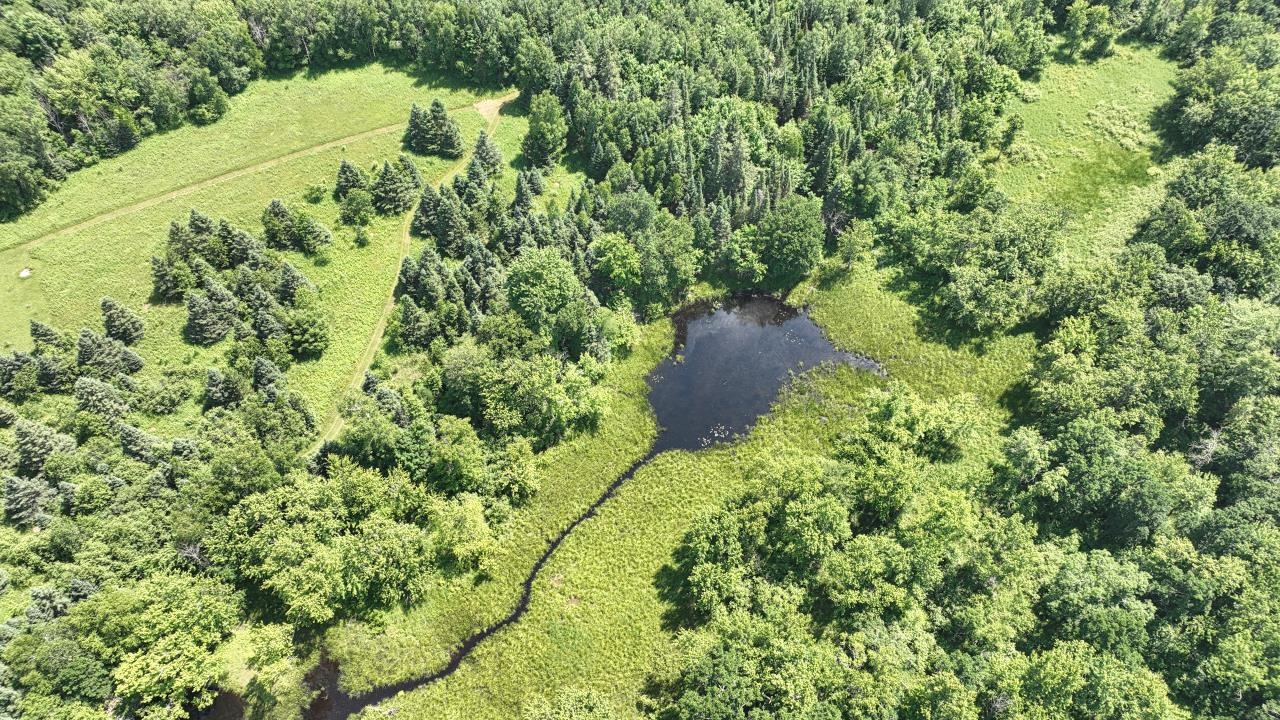 75500 Joe Rein Road Glidden, WI 54527 - Photo 33 of 54