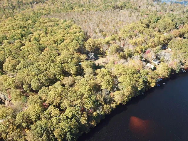 a view of a bunch of trees and bushes