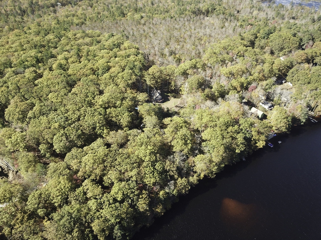 17 West Shore Drive Ashburnham, MA 01430 - Photo 42 of 42 a view of a bunch of trees and bushes