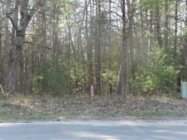 3 South Evergreen Road Branch, MI 49304 - Photo 1 of 3 Hendrick 001