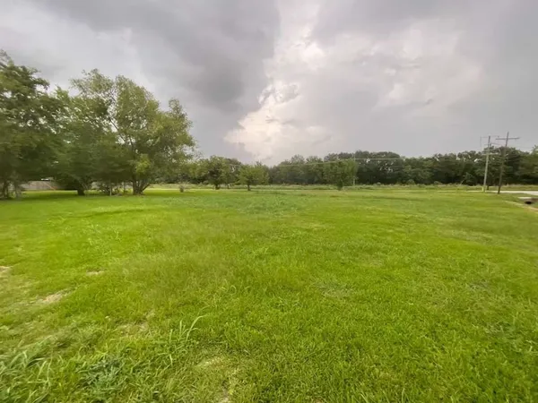 a view of an ocean from a yard