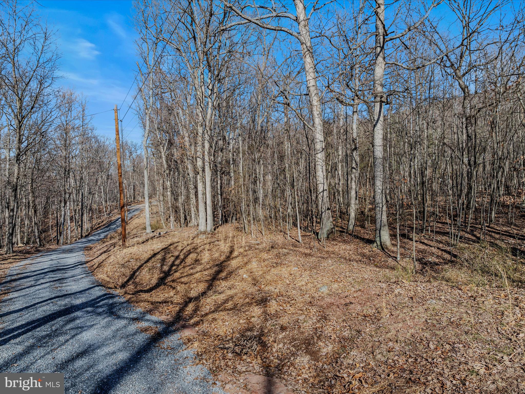 Spring Drive Berkeley Springs, WV 25411 - Photo 1 of 29 Road View