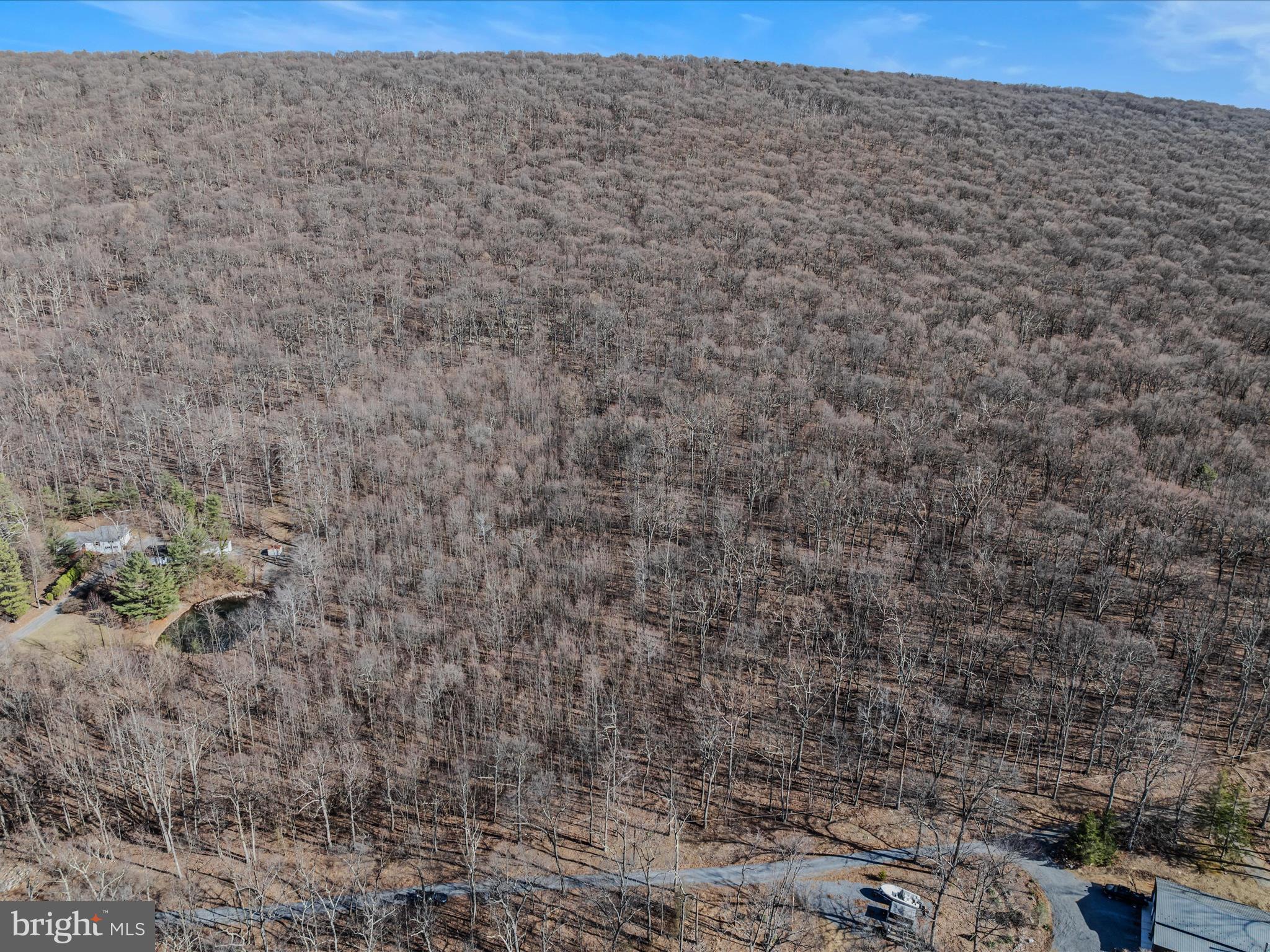 Spring Drive Berkeley Springs, WV 25411 - Photo 11 of 29 Aerial View