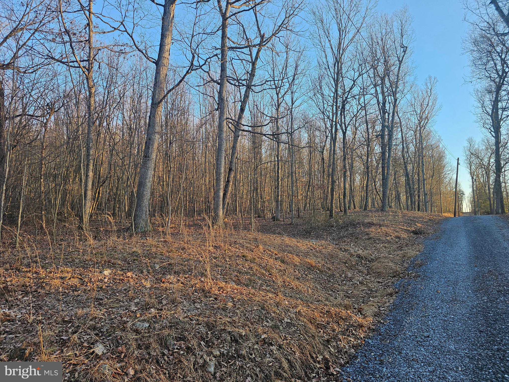Spring Drive Berkeley Springs, WV 25411 - Photo 2 of 29 Road View
