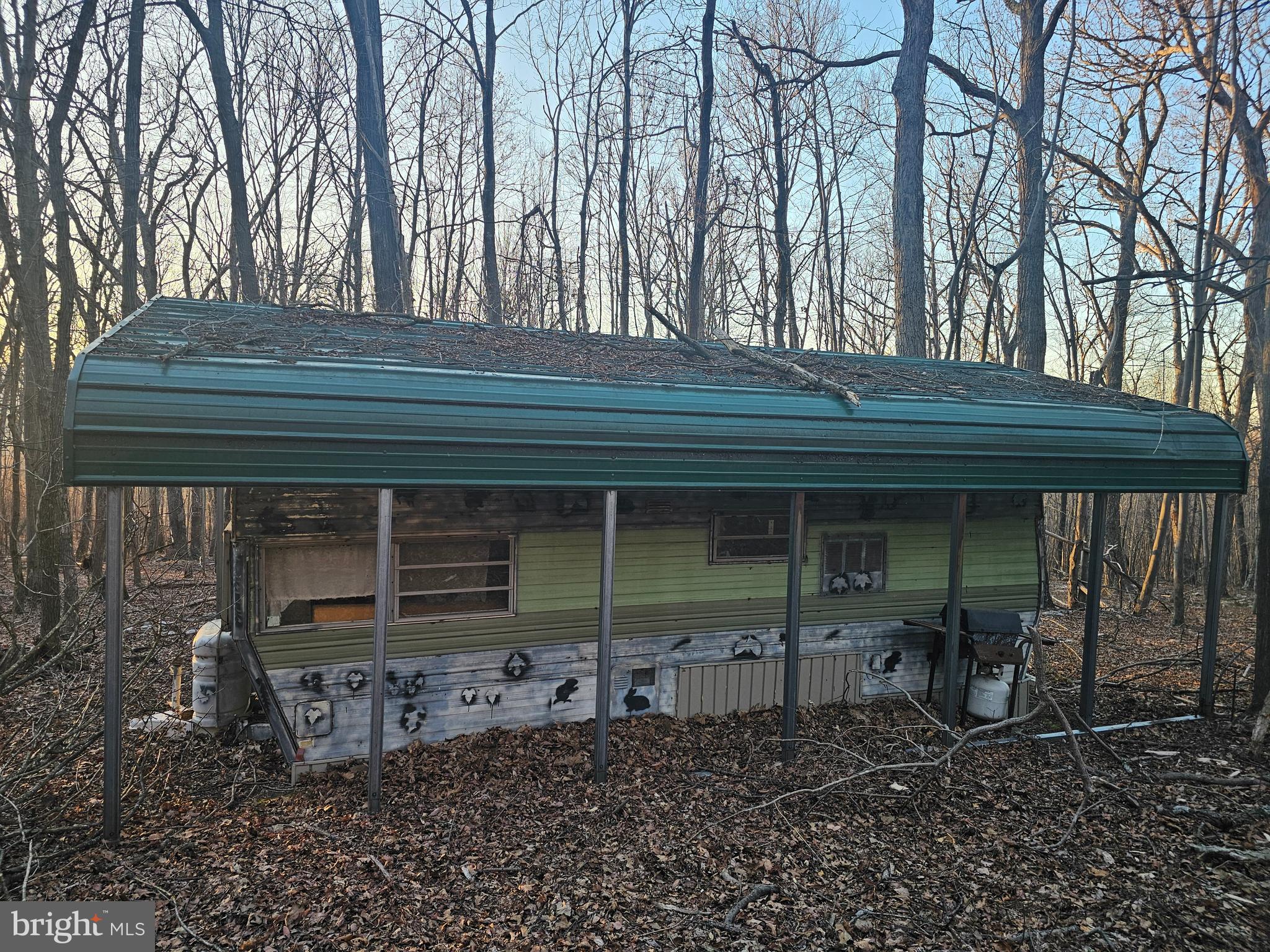 Spring Drive Berkeley Springs, WV 25411 - Photo 23 of 29 Camper Conveys