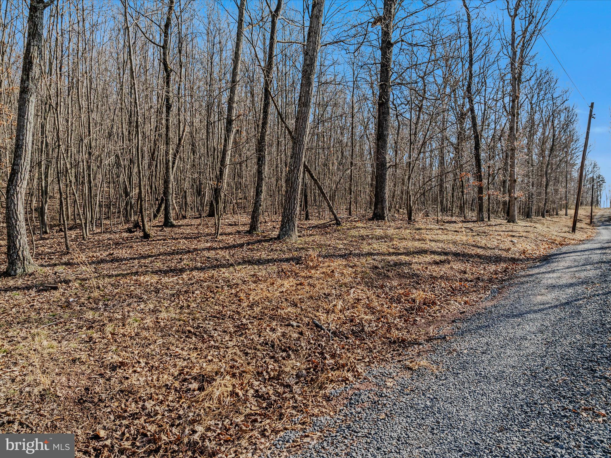 Spring Drive Berkeley Springs, WV 25411 - Photo 7 of 29 Road View