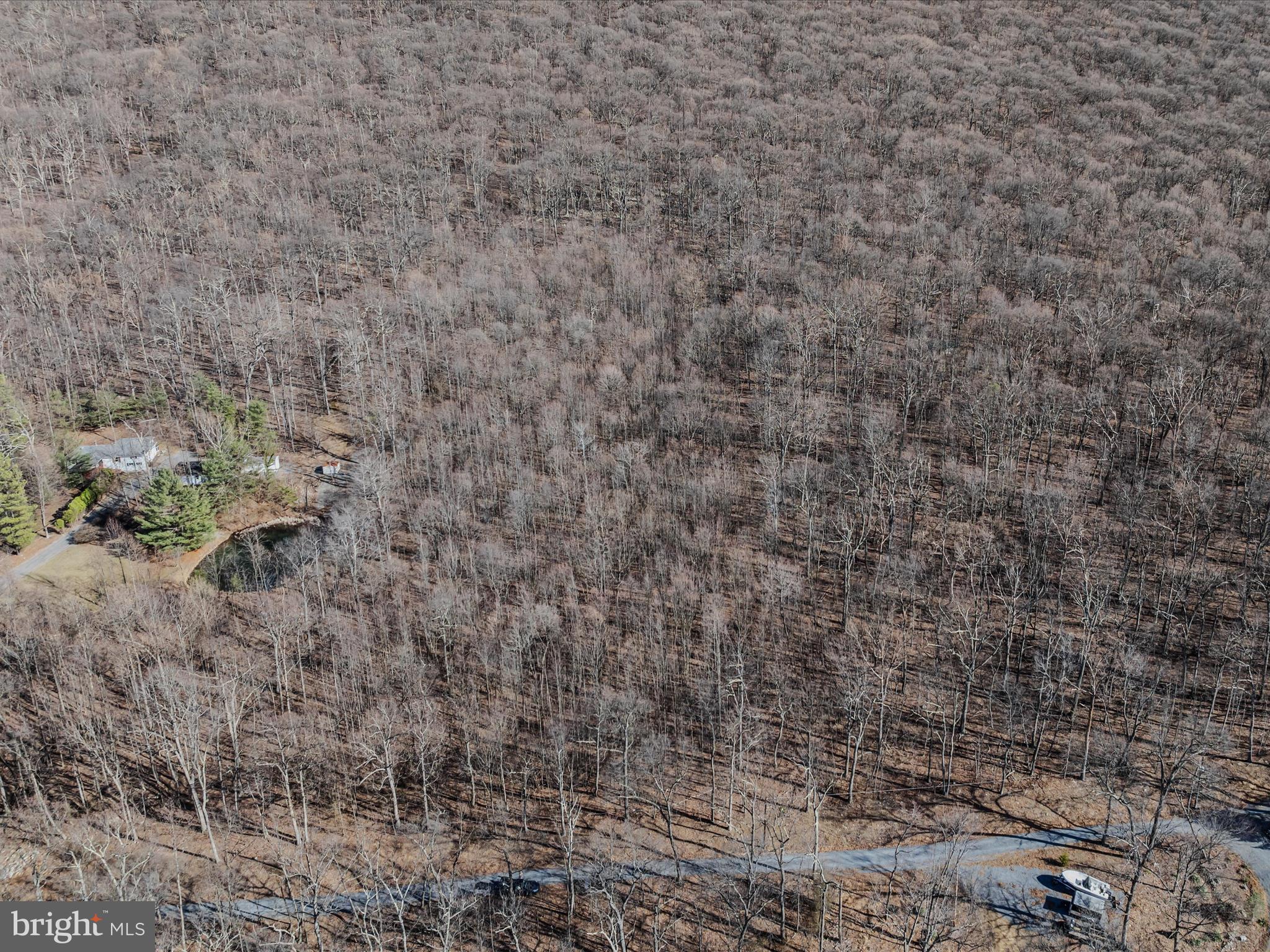 Spring Drive Berkeley Springs, WV 25411 - Photo 9 of 29 Aerial View