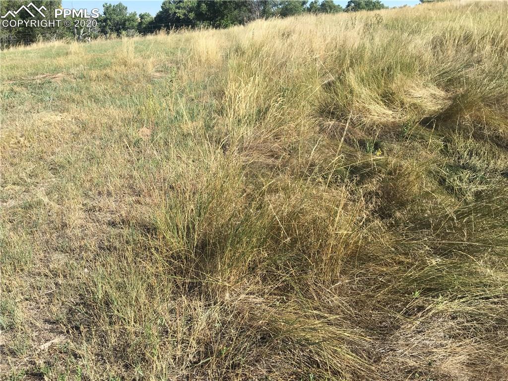 1st Street Simla, CO 80832 - Photo 2 of 2