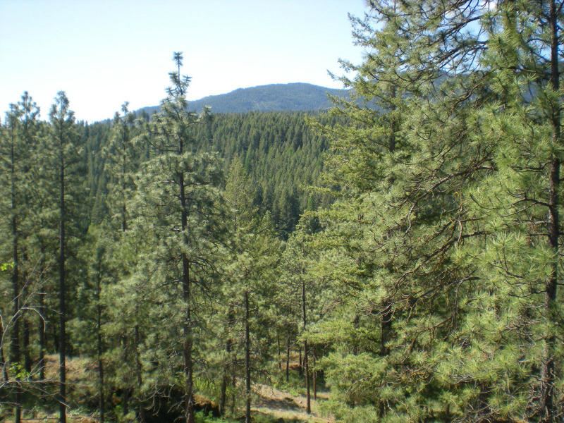 1860 Marble Valley-Basin Road, Unit B Addy, WA 99101 - Photo 12 of 12