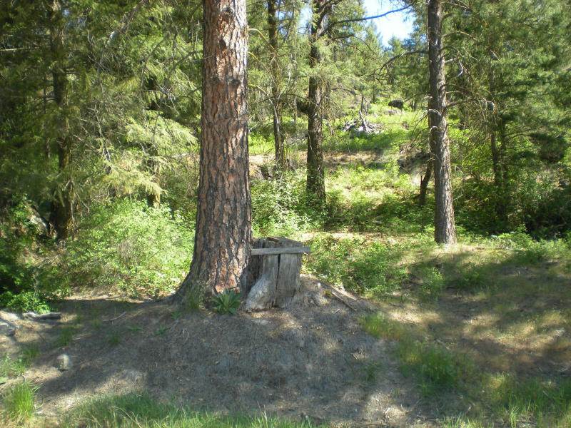 1860 Marble Valley-Basin Road, Unit B Addy, WA 99101 - Photo 8 of 12