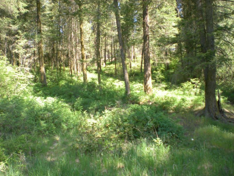 1860 Marble Valley-Basin Road, Unit B Addy, WA 99101 - Photo 9 of 12