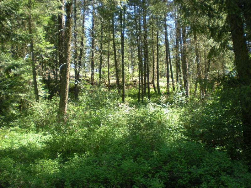 1860 Marble Valley-Basin Road, Unit B Addy, WA 99101 - Photo 10 of 12