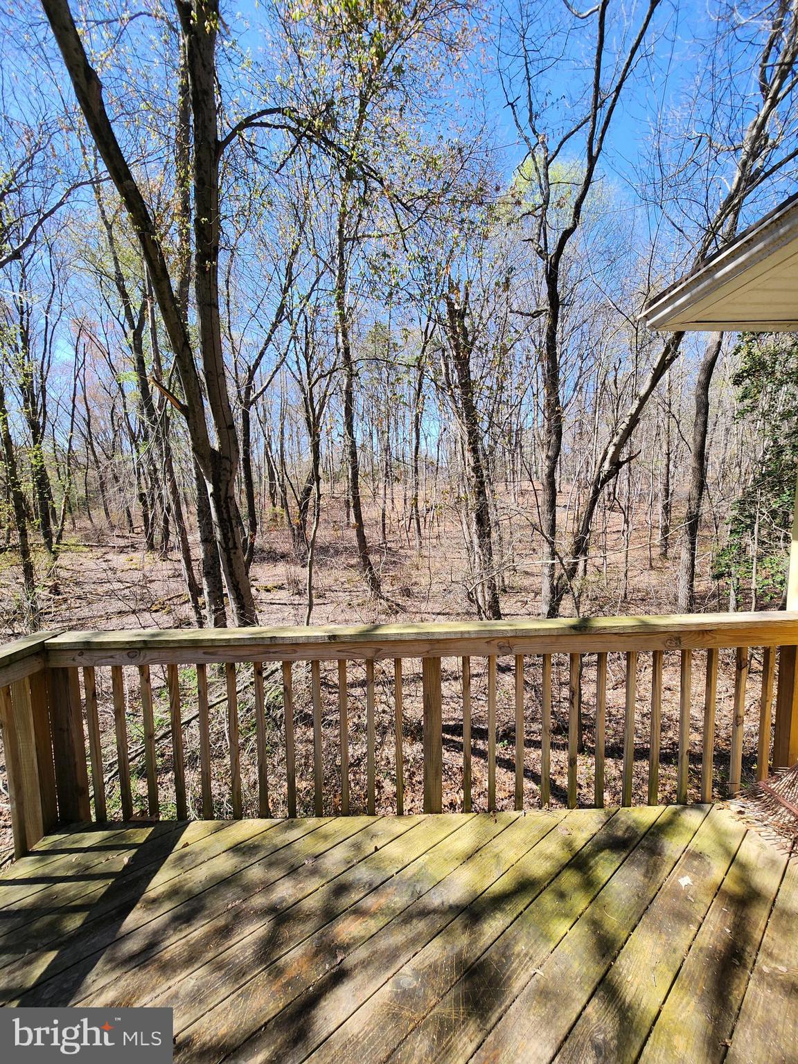 643 Hickstown Road Sicklerville, NJ 08081 - Photo 40 of 41 Back yard view from the deck