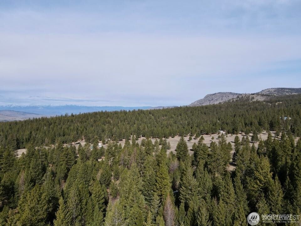 6 Lone Pine Trail Riverside, WA 98849 - Photo 24 of 25 Gallery Image 24