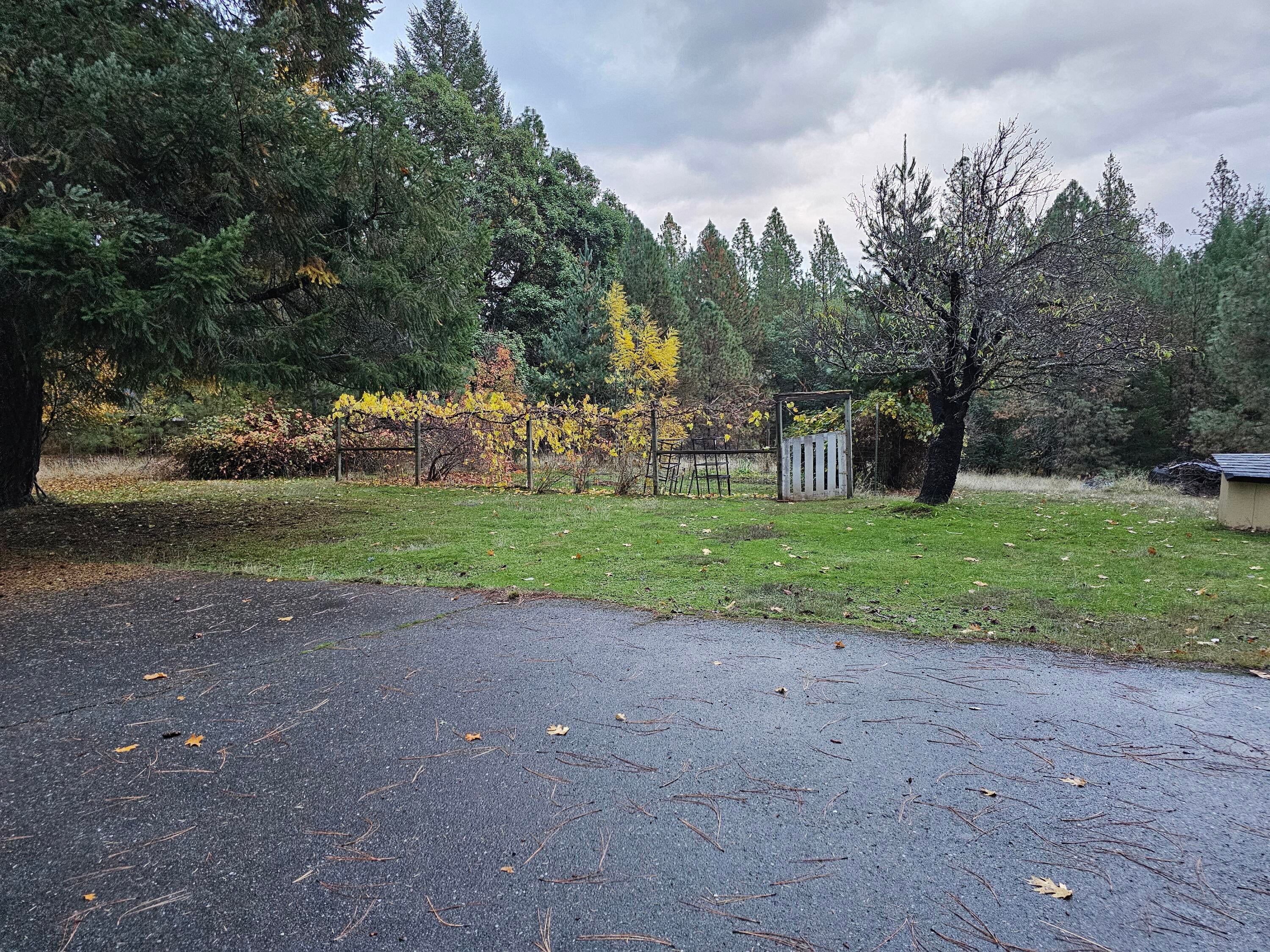 831 Crow Road Merlin, OR 97532 - Photo 28 of 29 Garden