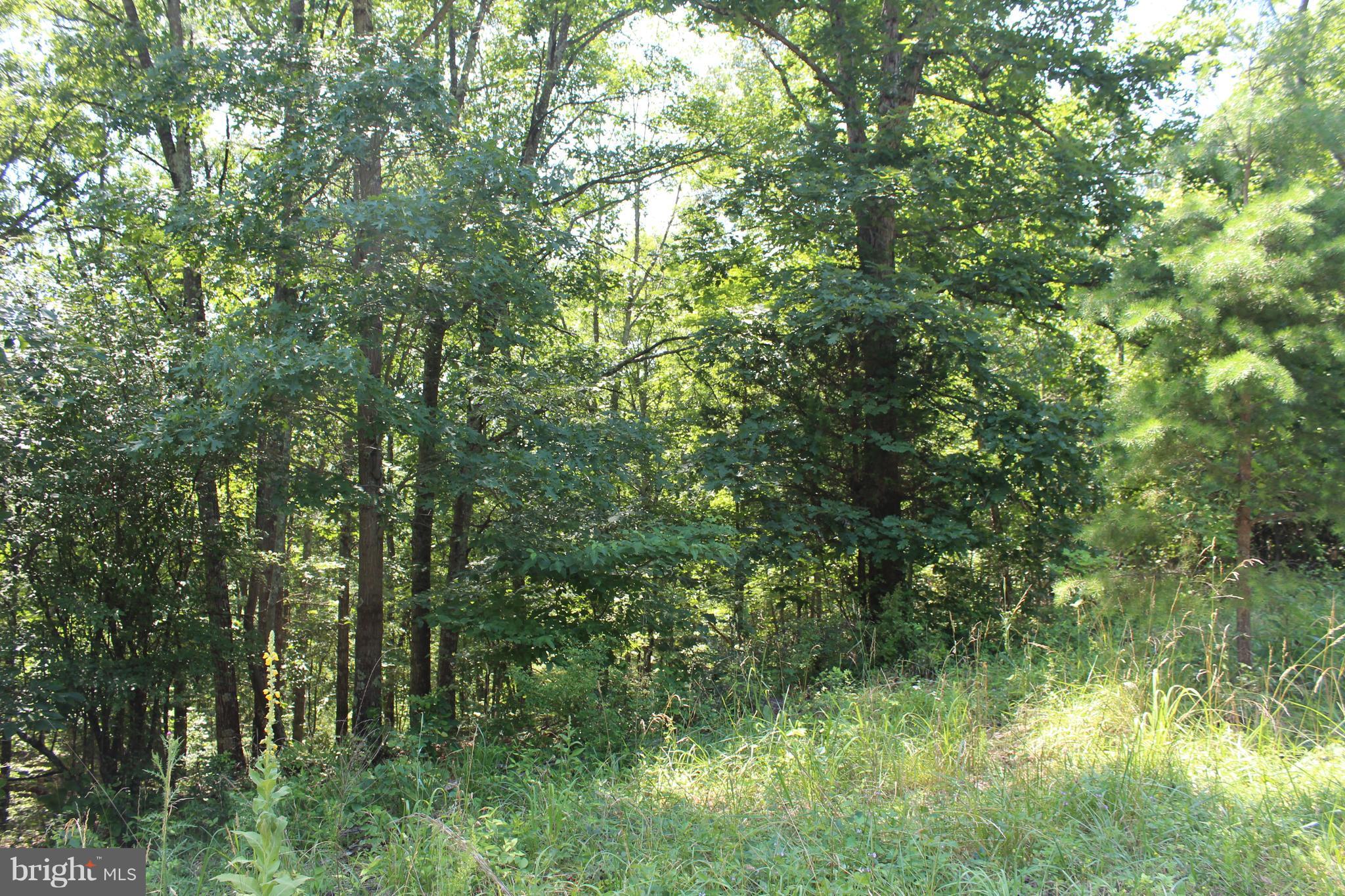 Jenkins Road Gerrardstown, WV 25420 - Photo 13 of 21 Exterior (General)