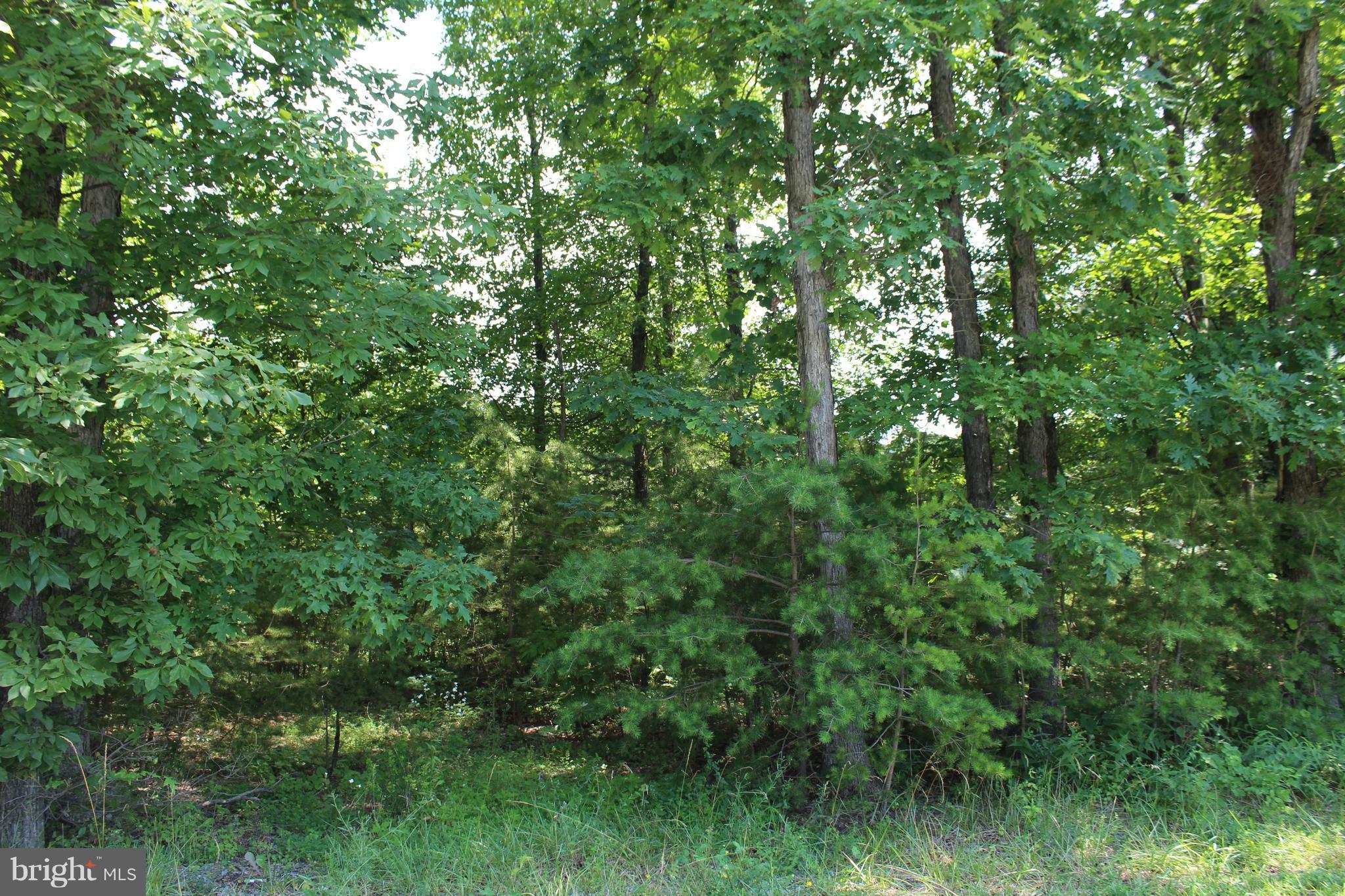 Jenkins Road Gerrardstown, WV 25420 - Photo 16 of 21 Exterior (General)