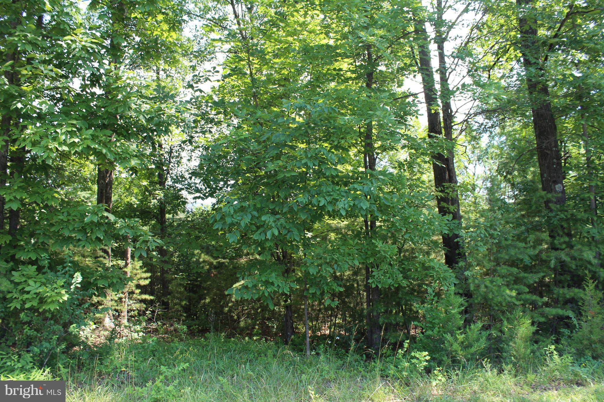 Jenkins Road Gerrardstown, WV 25420 - Photo 17 of 21 Exterior (General)