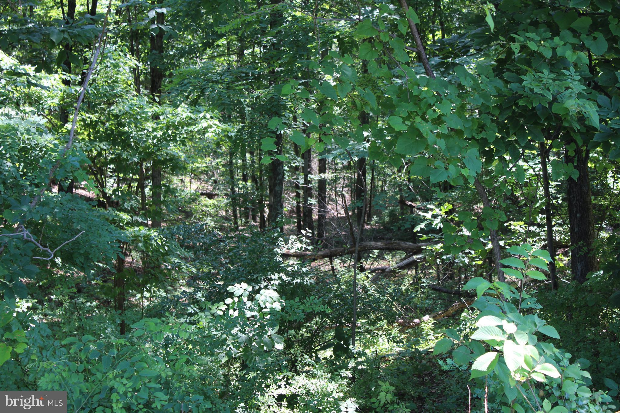 Jenkins Road Gerrardstown, WV 25420 - Photo 18 of 21 Exterior (General)