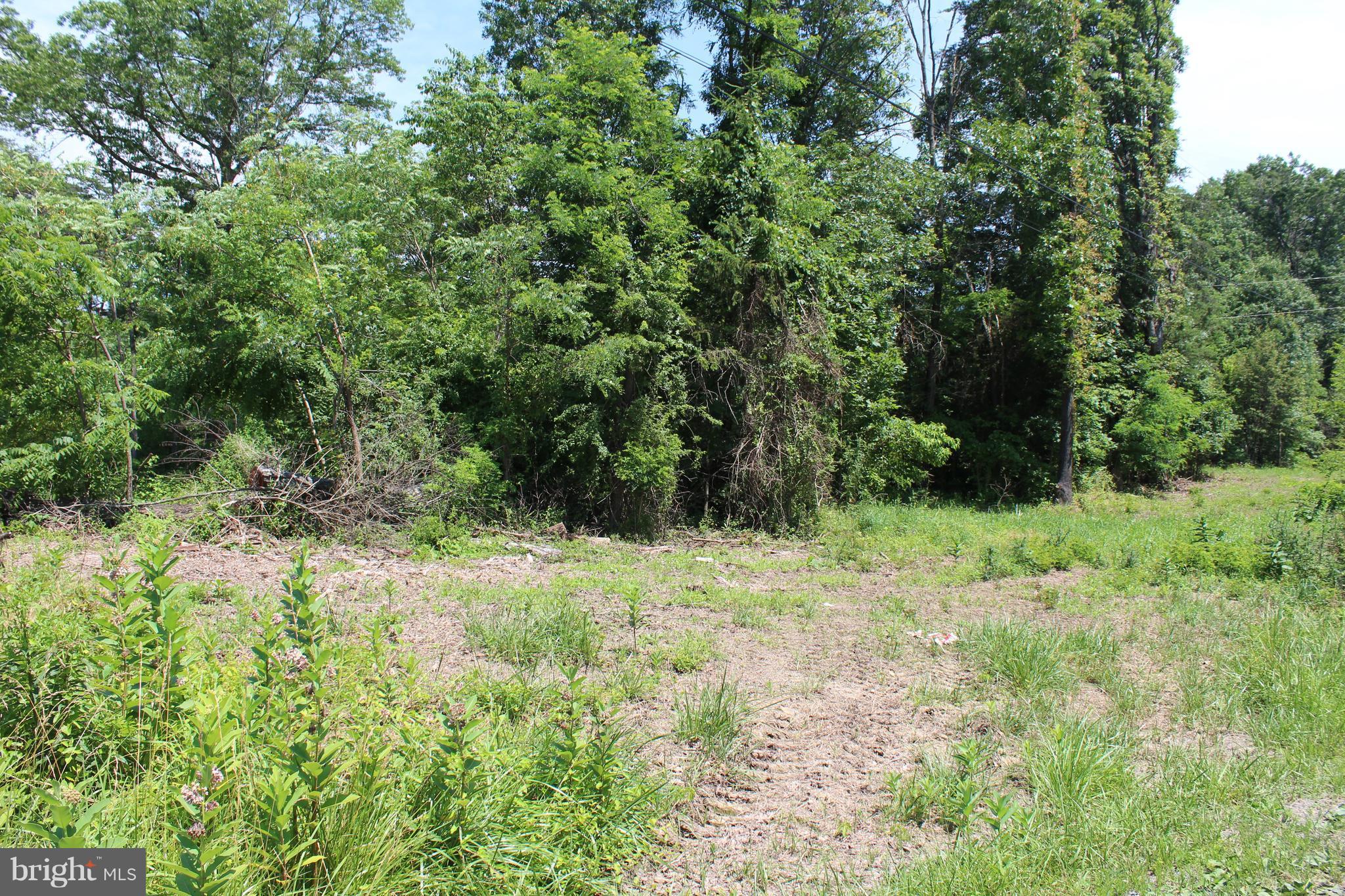 Jenkins Road Gerrardstown, WV 25420 - Photo 6 of 21 A portion of one lot fronts Buck Hill Road