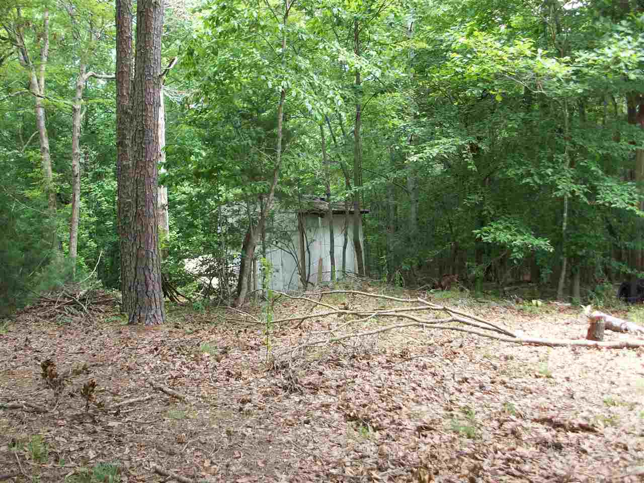 581 Ninety-Nine Island Road Blacksburg, SC 29702 - Photo 8 of 11 Gallery Image 8