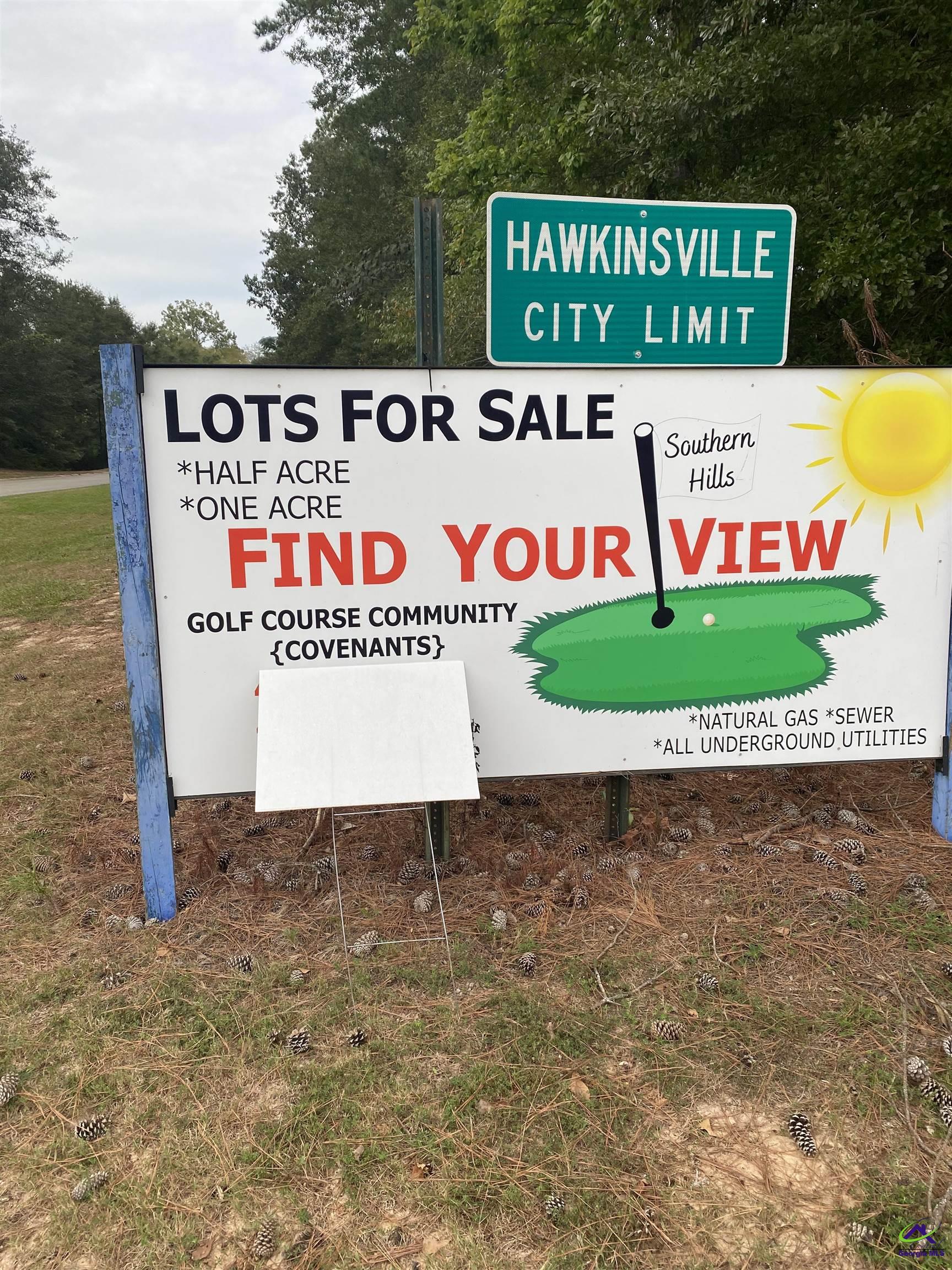 River Ridge Hawkinsville, GA 31036 - Photo 1 of 2