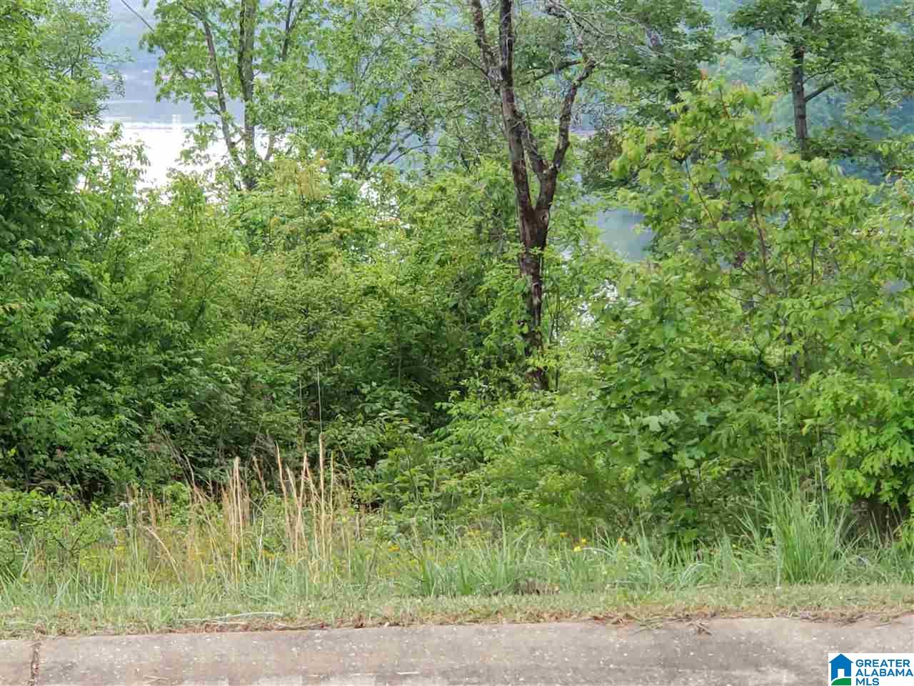 205 Overlook Ridge Lincoln, AL 35096 - Photo 15 of 17