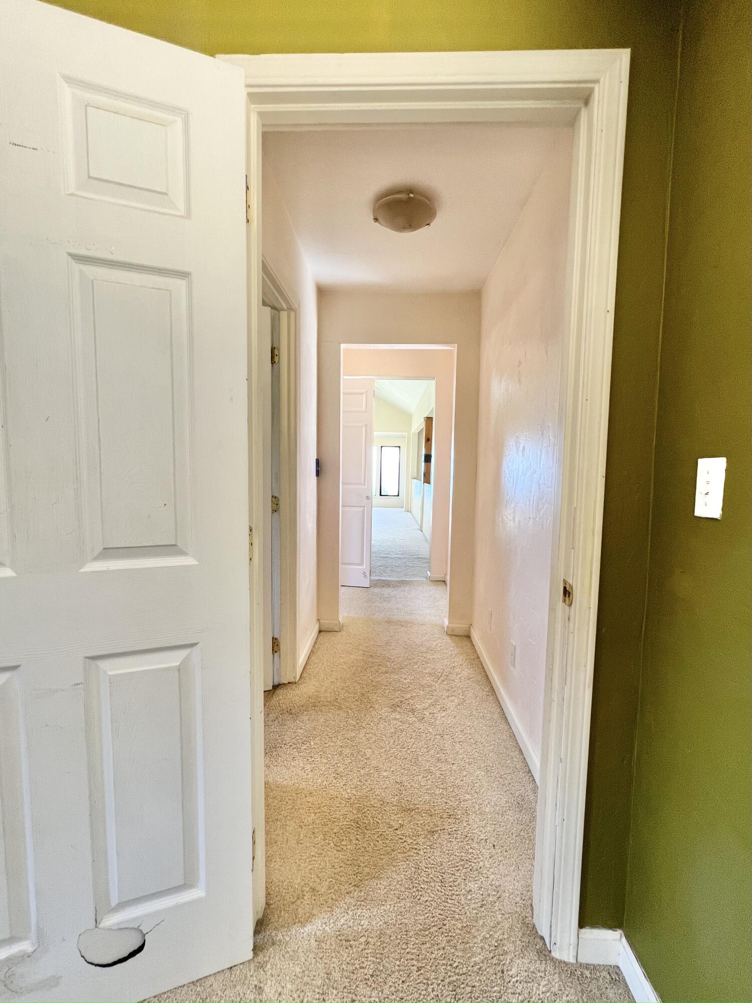955 Spring Road Whitethorn, CA 95589 - Photo 21 of 74