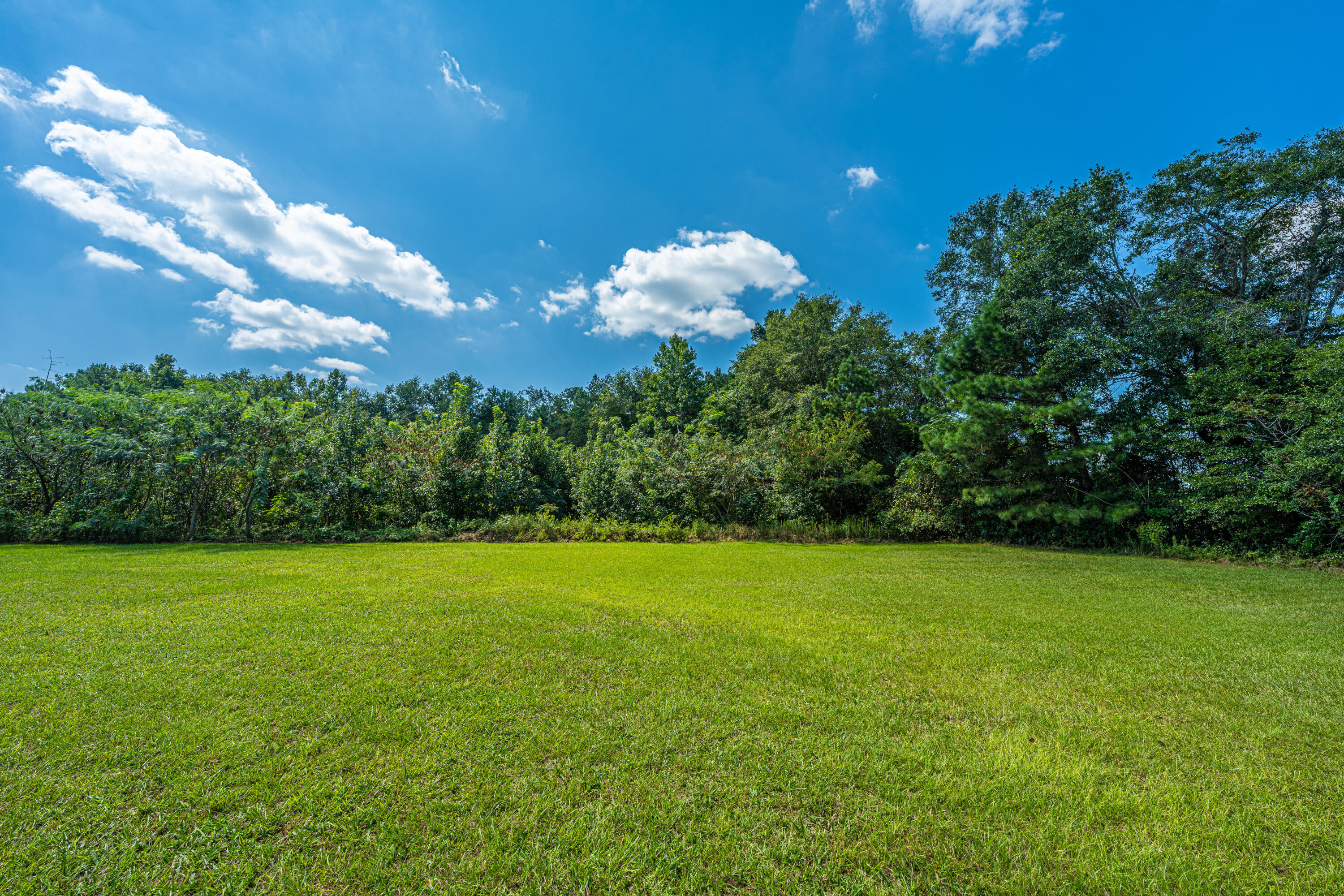 124 Orchid Loop St. George, SC 29477 - Photo 48 of 73 124OrchidLoopRESHOOT08