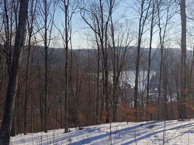 0 West Hill Road Bethel, VT 05032 - Photo 2 of 11